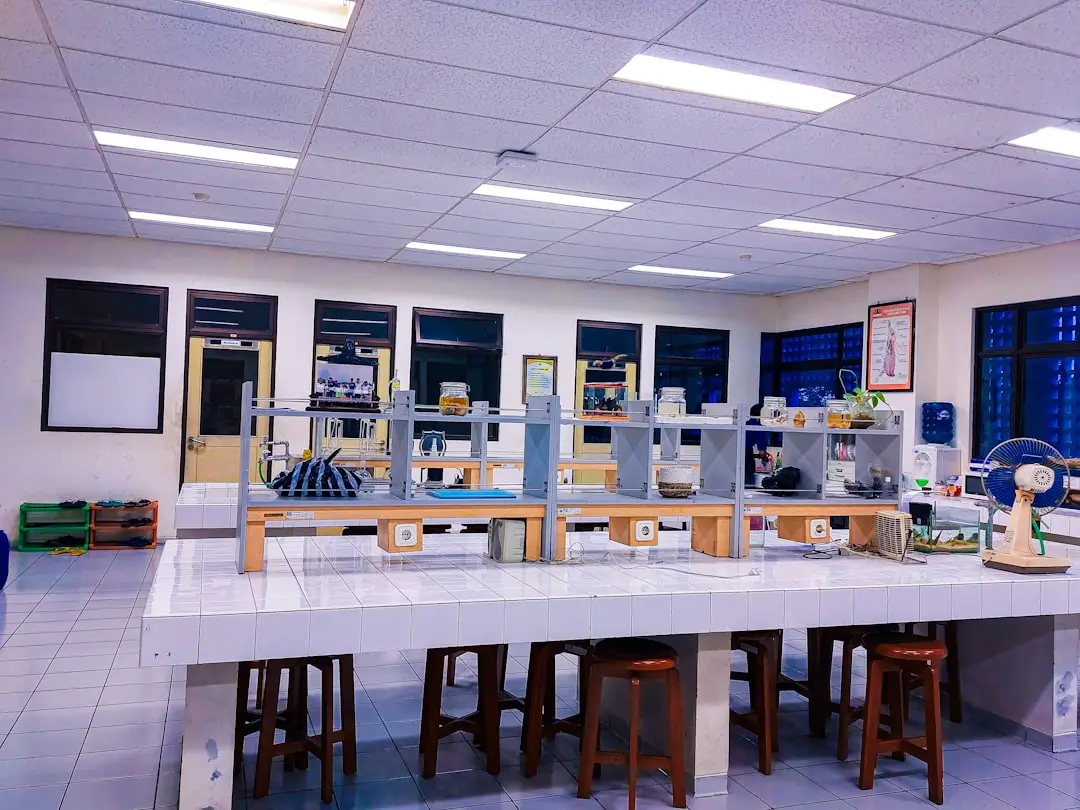 湖南云蜂生物淀粉酶制剂在食品发酵工艺中的典型应用与效果分析正文配图 2